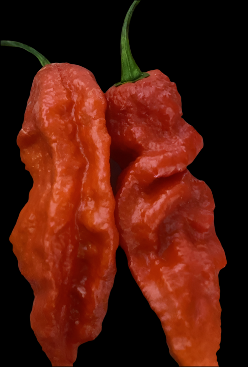 Big Red Ghost