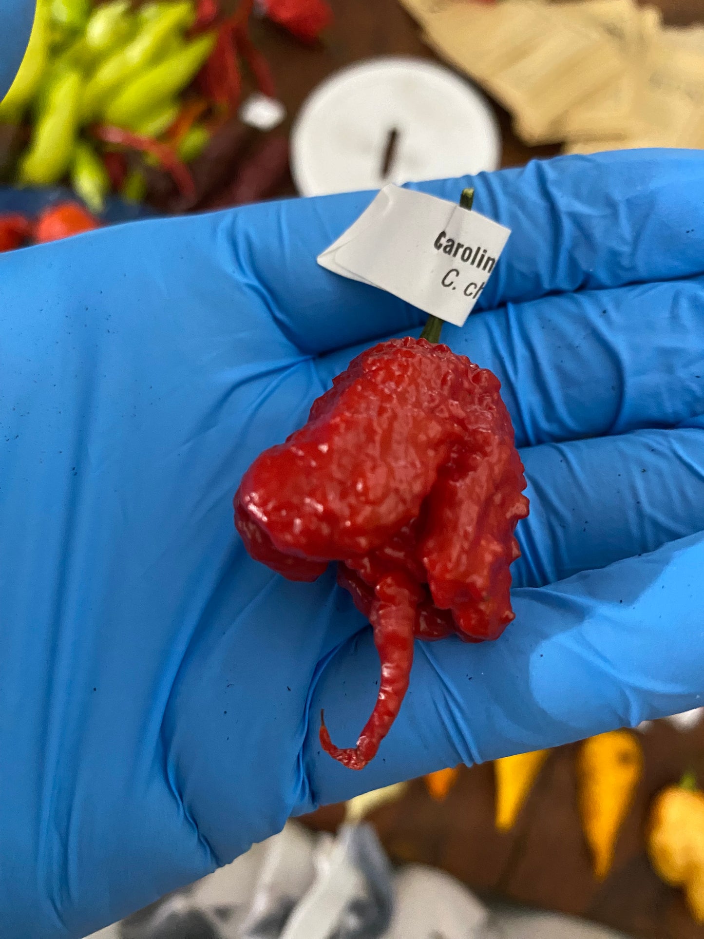 Red Reaper