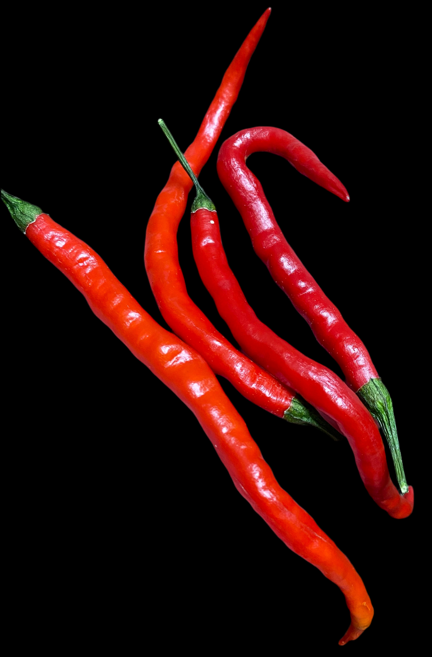 Long Red Cayenne