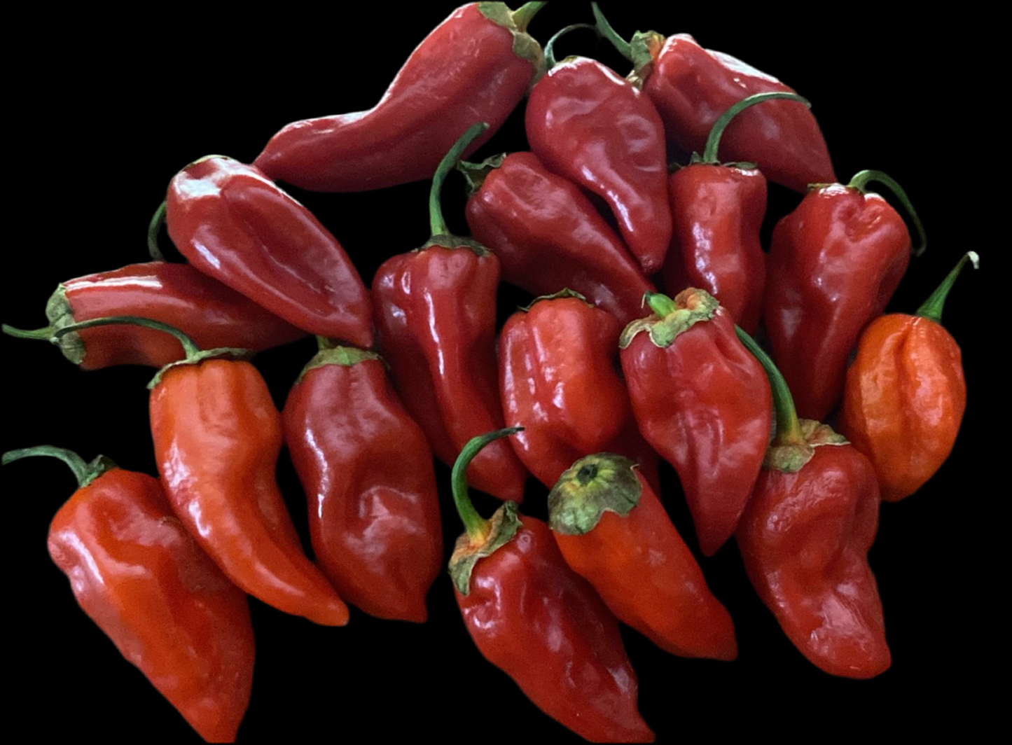 Unstable Red Bubblegum