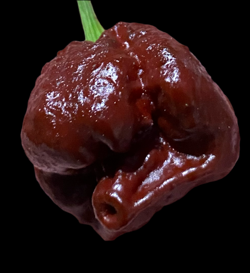 Chocolate Reaper