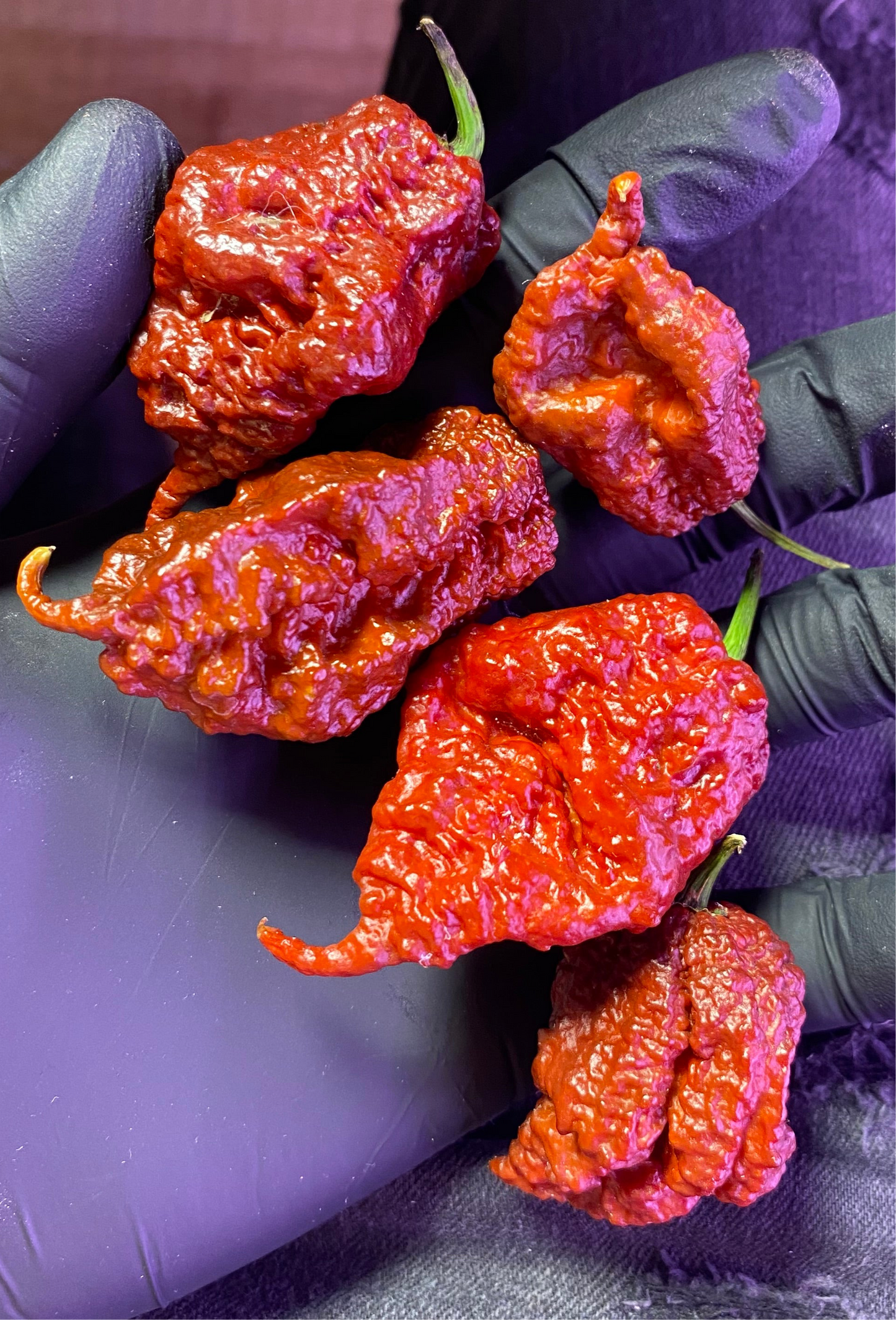 Trinidad 7Pot Chocolate