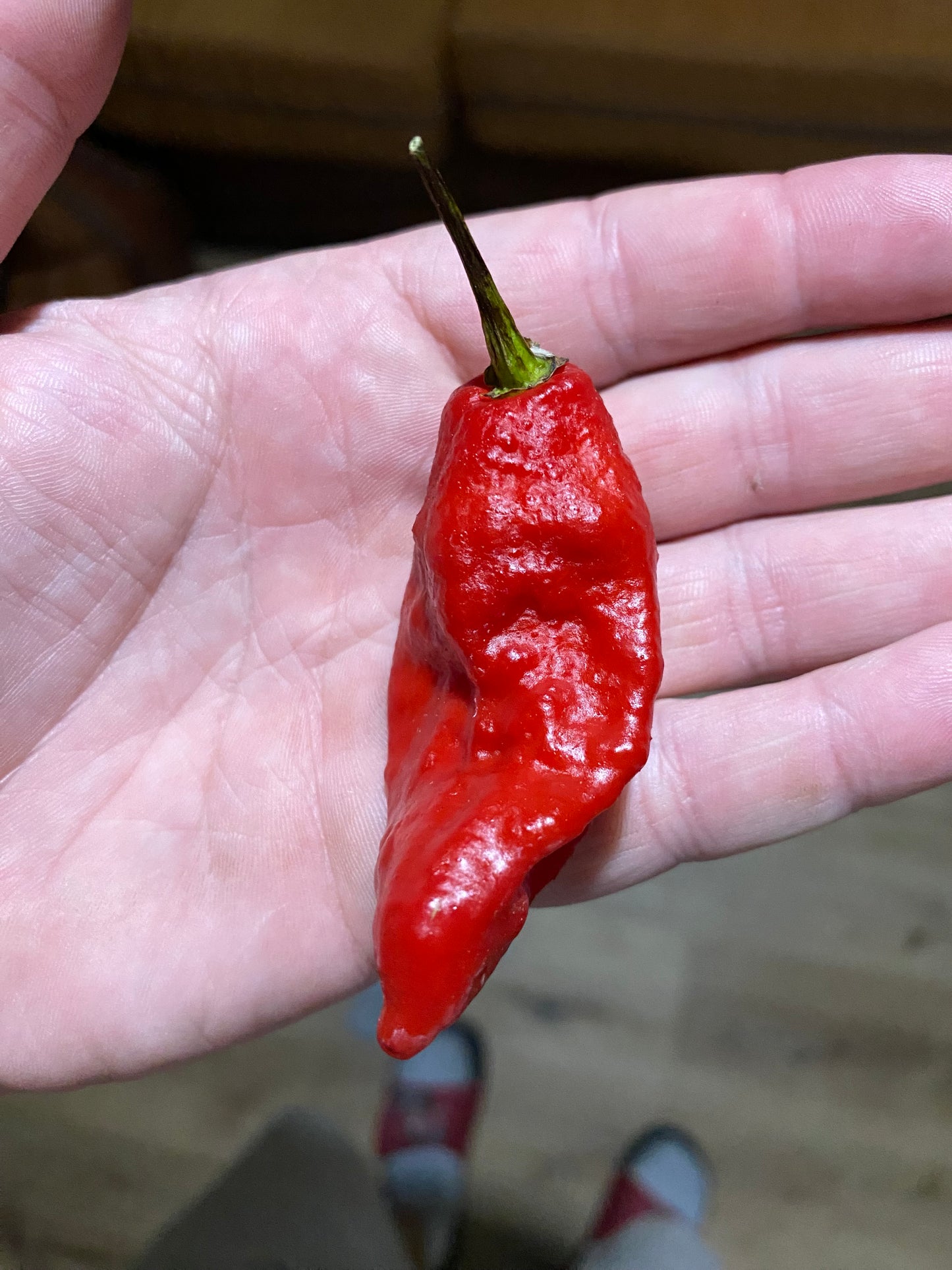 Super Bhut Reaper