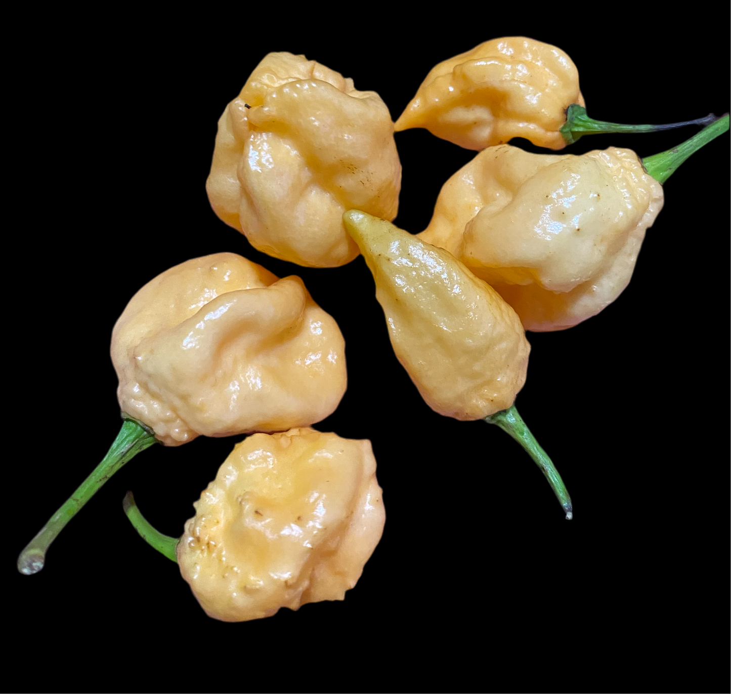 California Reaper