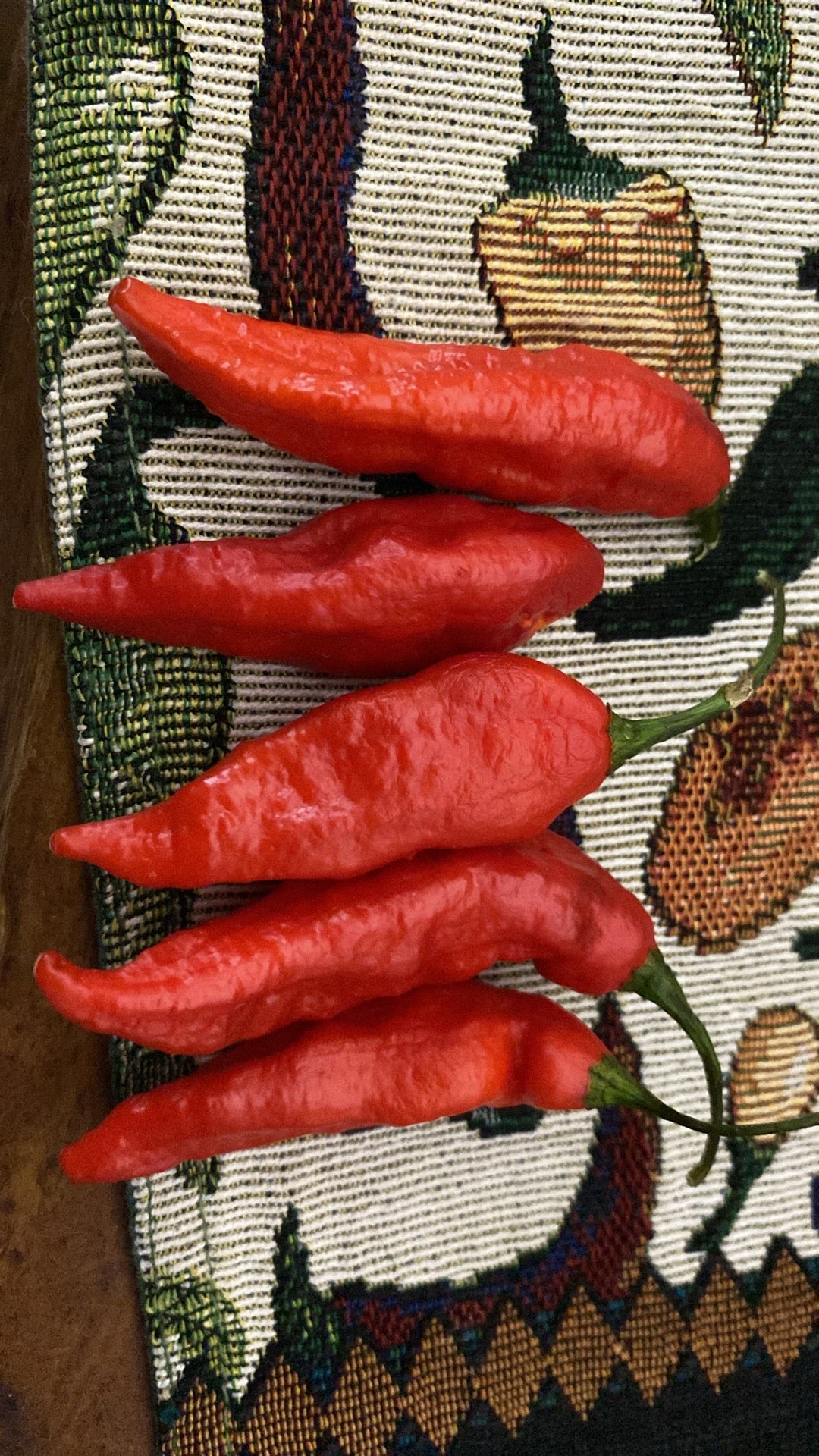 Why Not Red