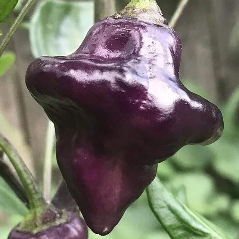 Purple UFO