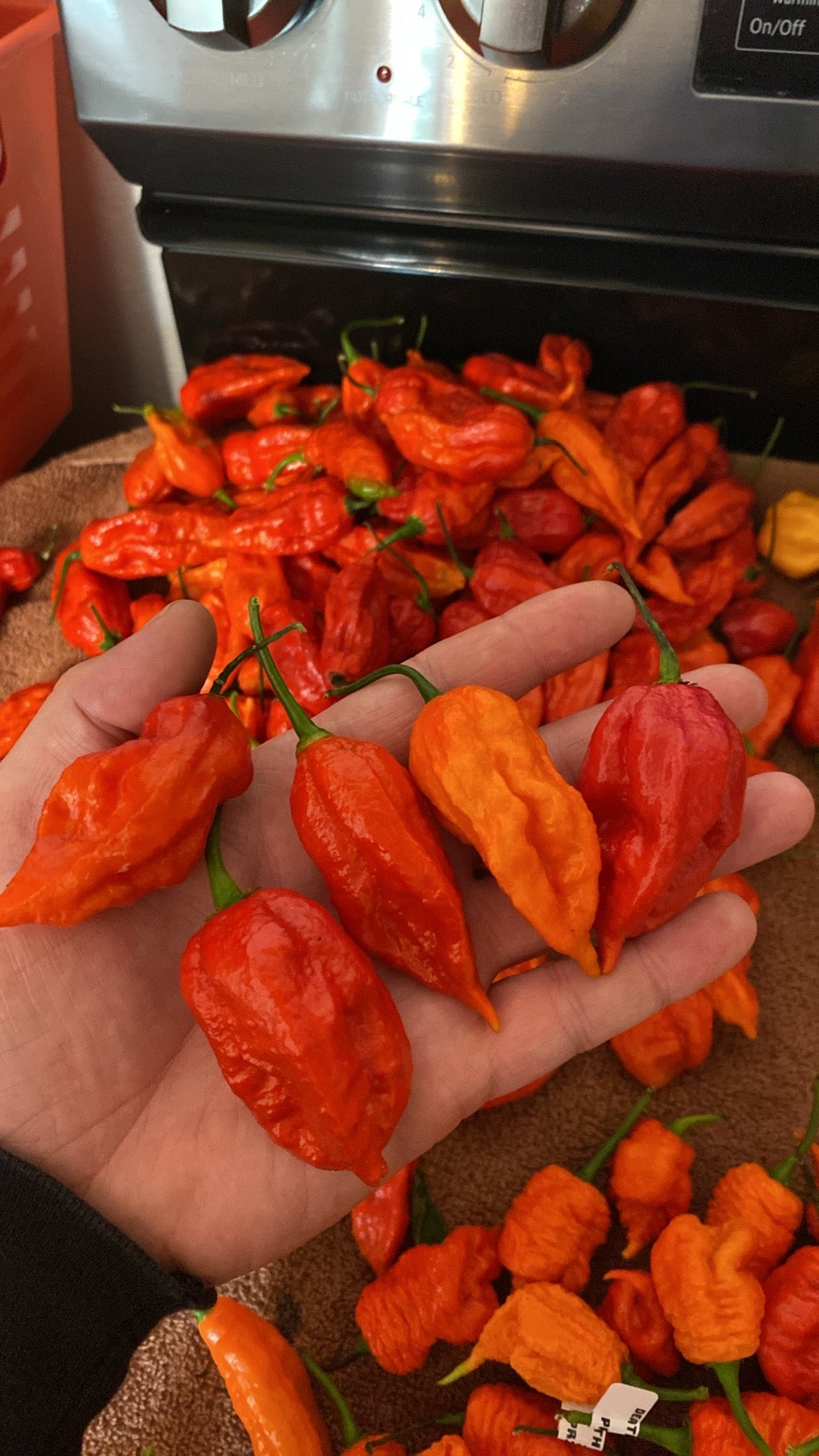 Red Ghost Pepper