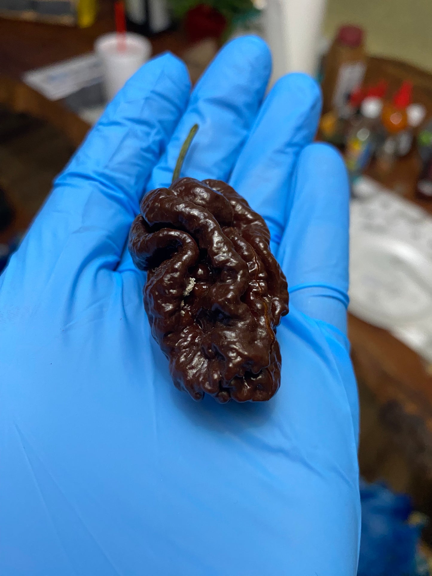 Chocolate skunk