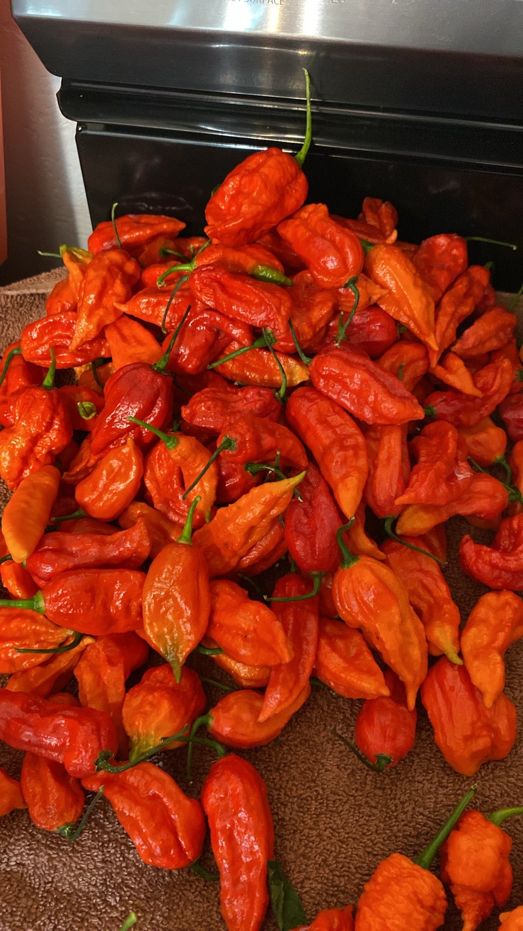 Red Ghost Pepper