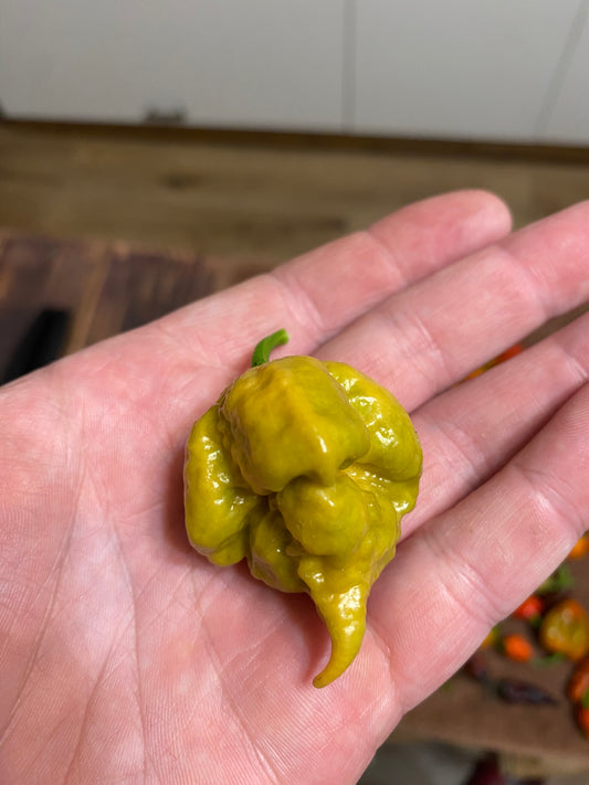 Golden reaper