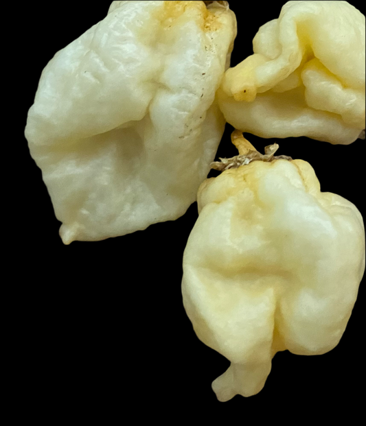 Unstable White Bubblegum