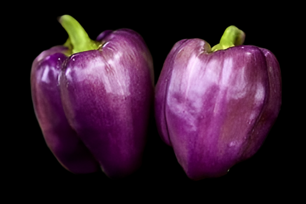 Lilac Purple Bell Pepper