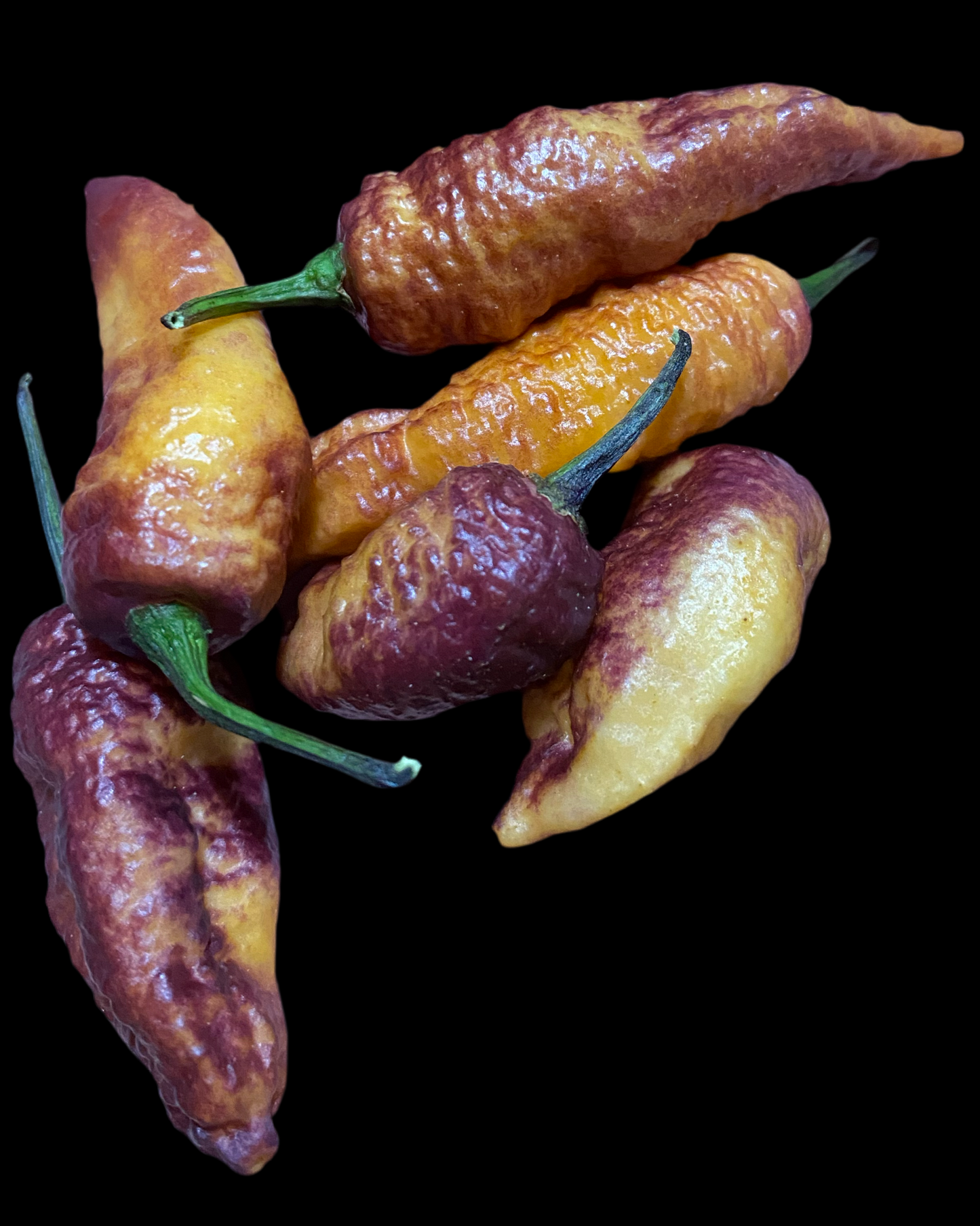 Pink Tiger X Peach Bhut