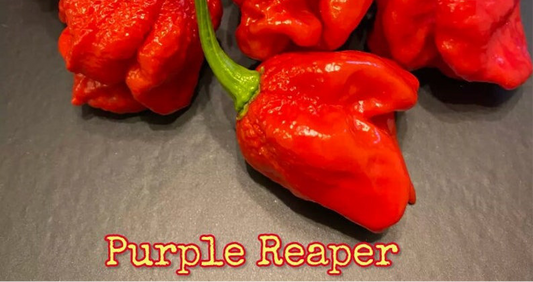 Purple reaper (Super Hot)