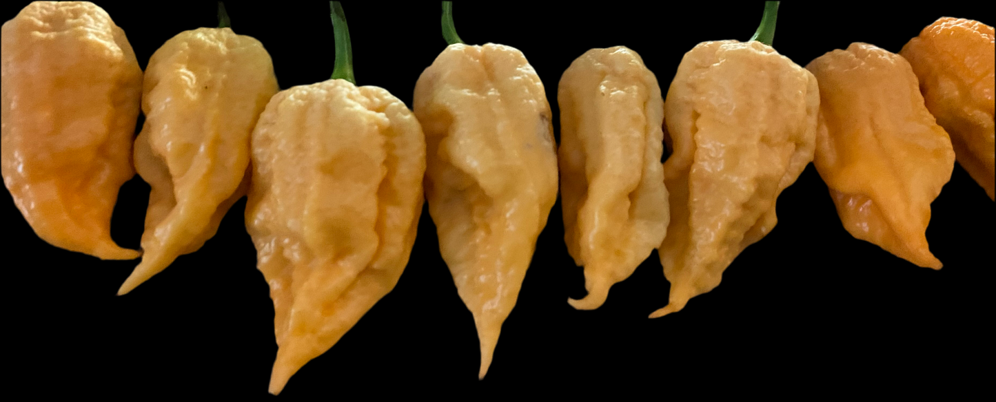 California Reaper