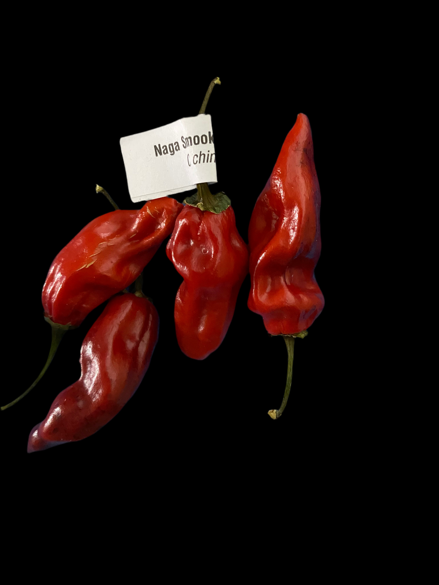 Naga Smoky Rainbow