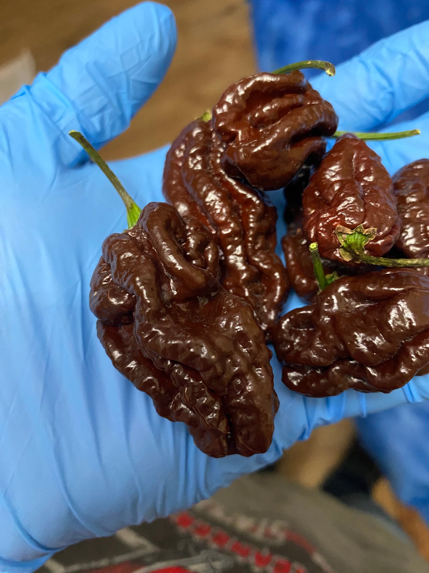 Chocolate skunk