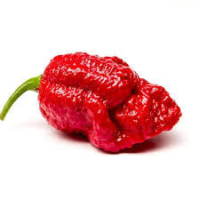 Red Brain Strain