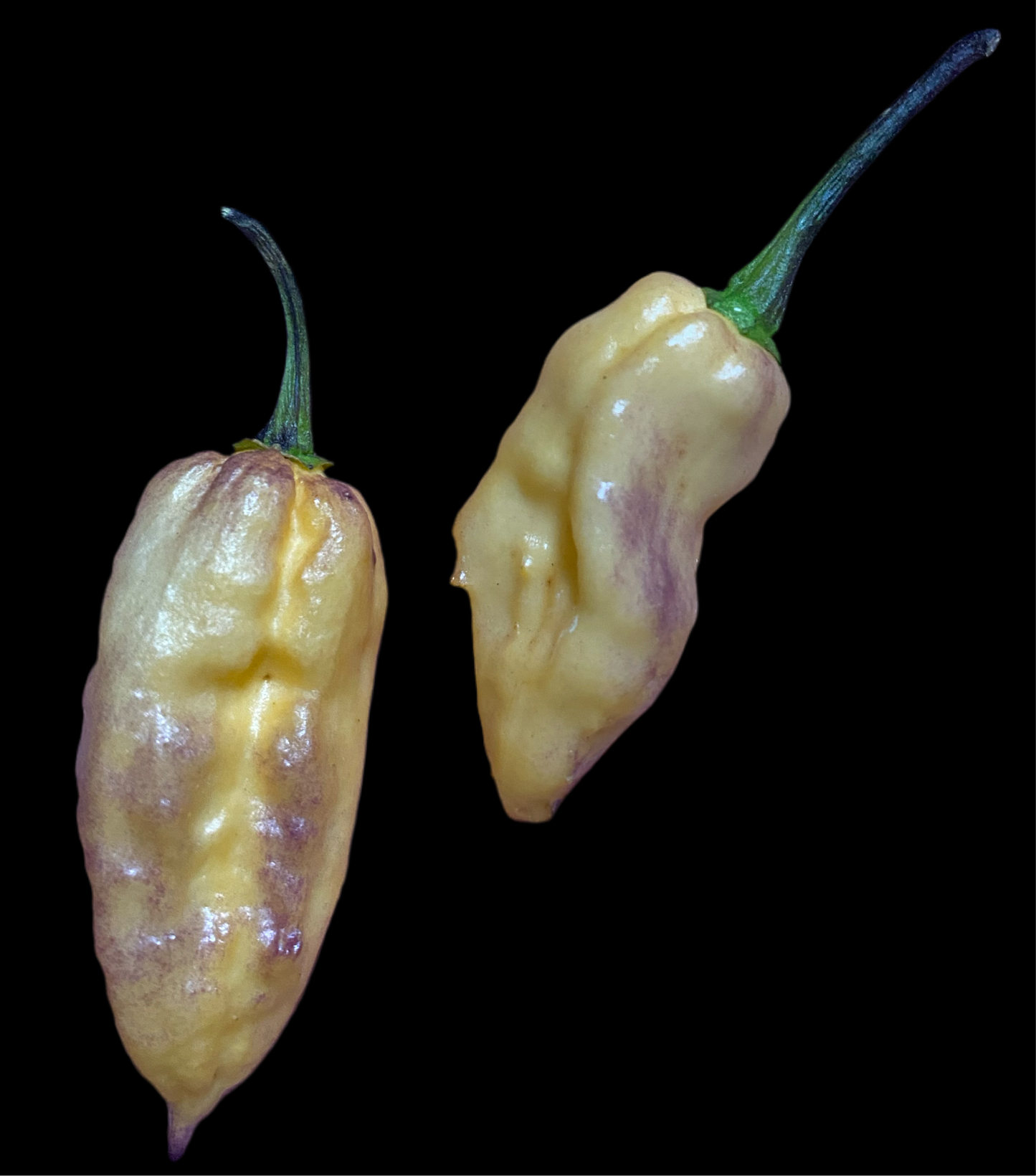 Thanos (coming soon)