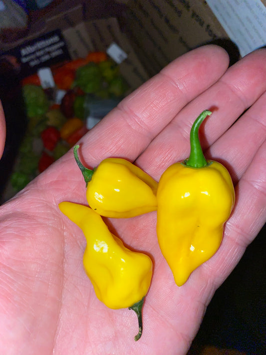 Lemon Habanero