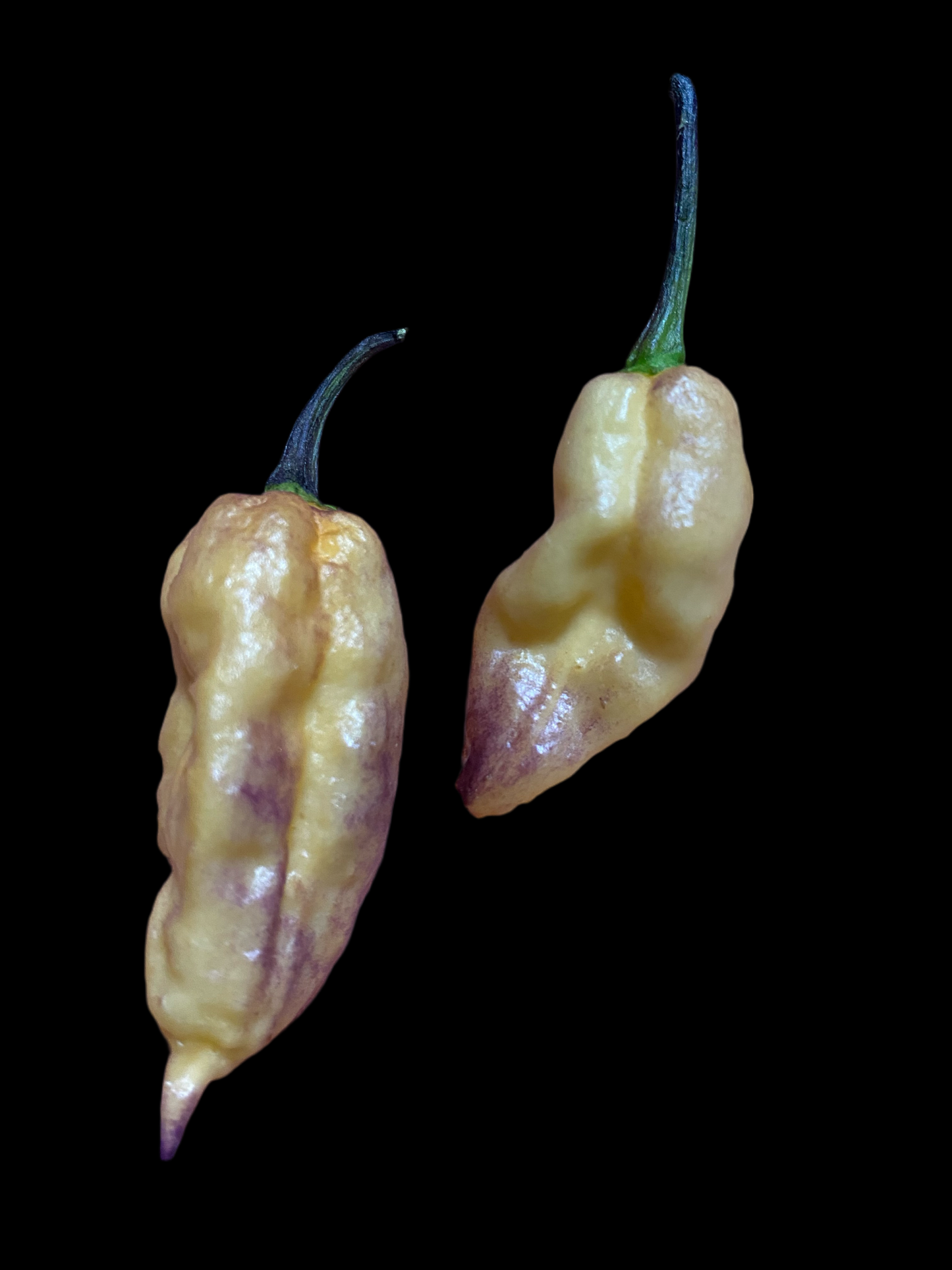 Thanos (coming soon)