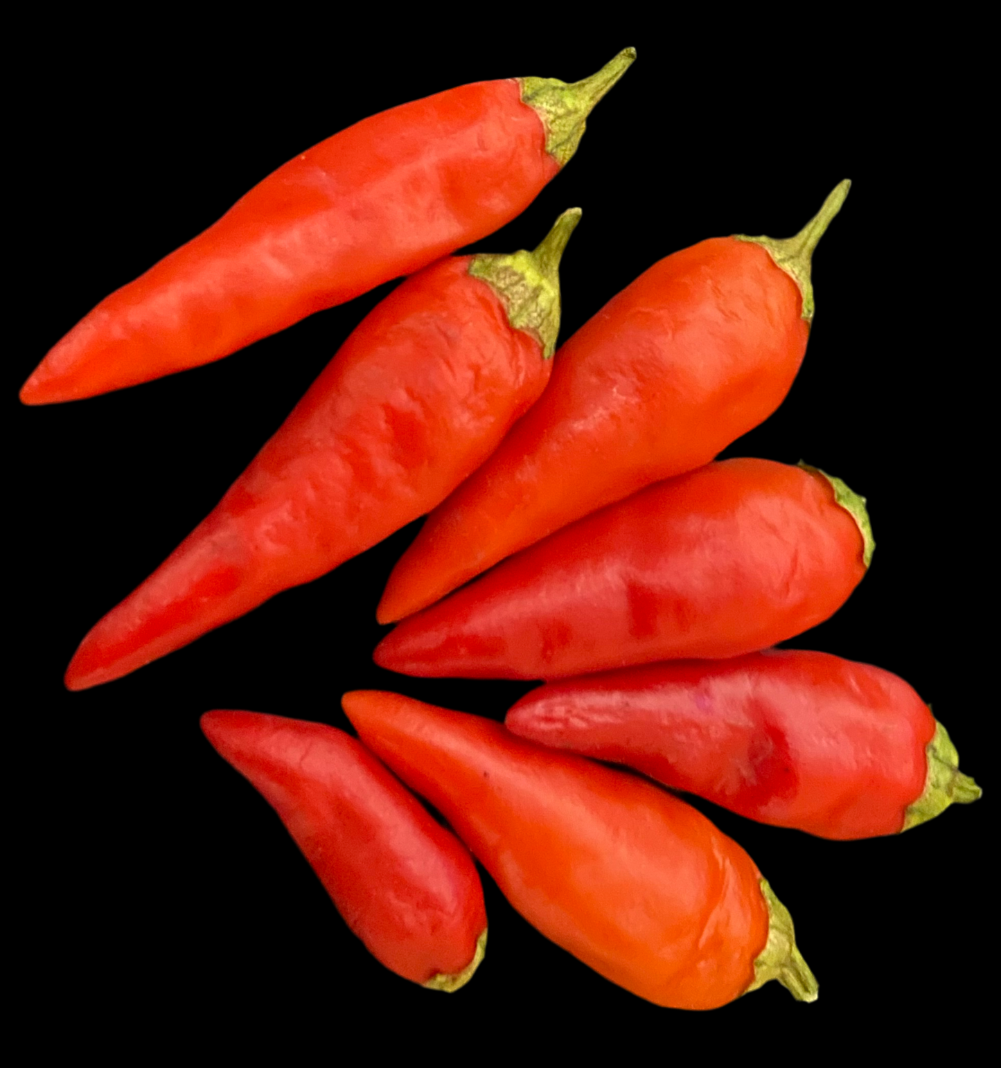 Super Chili