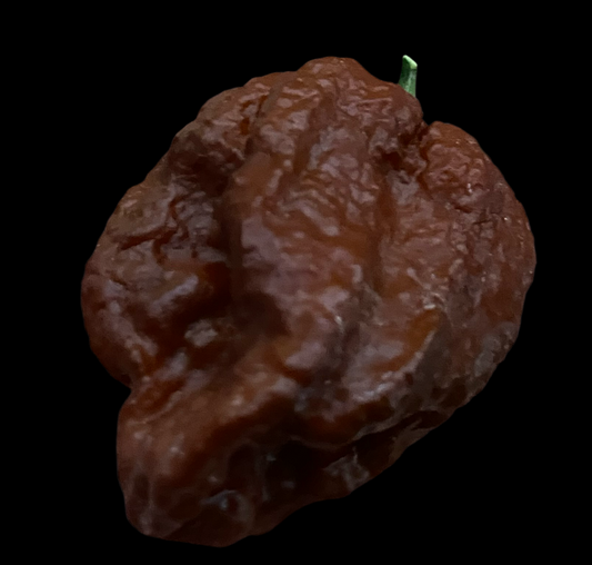 Chocolate Brain Strain