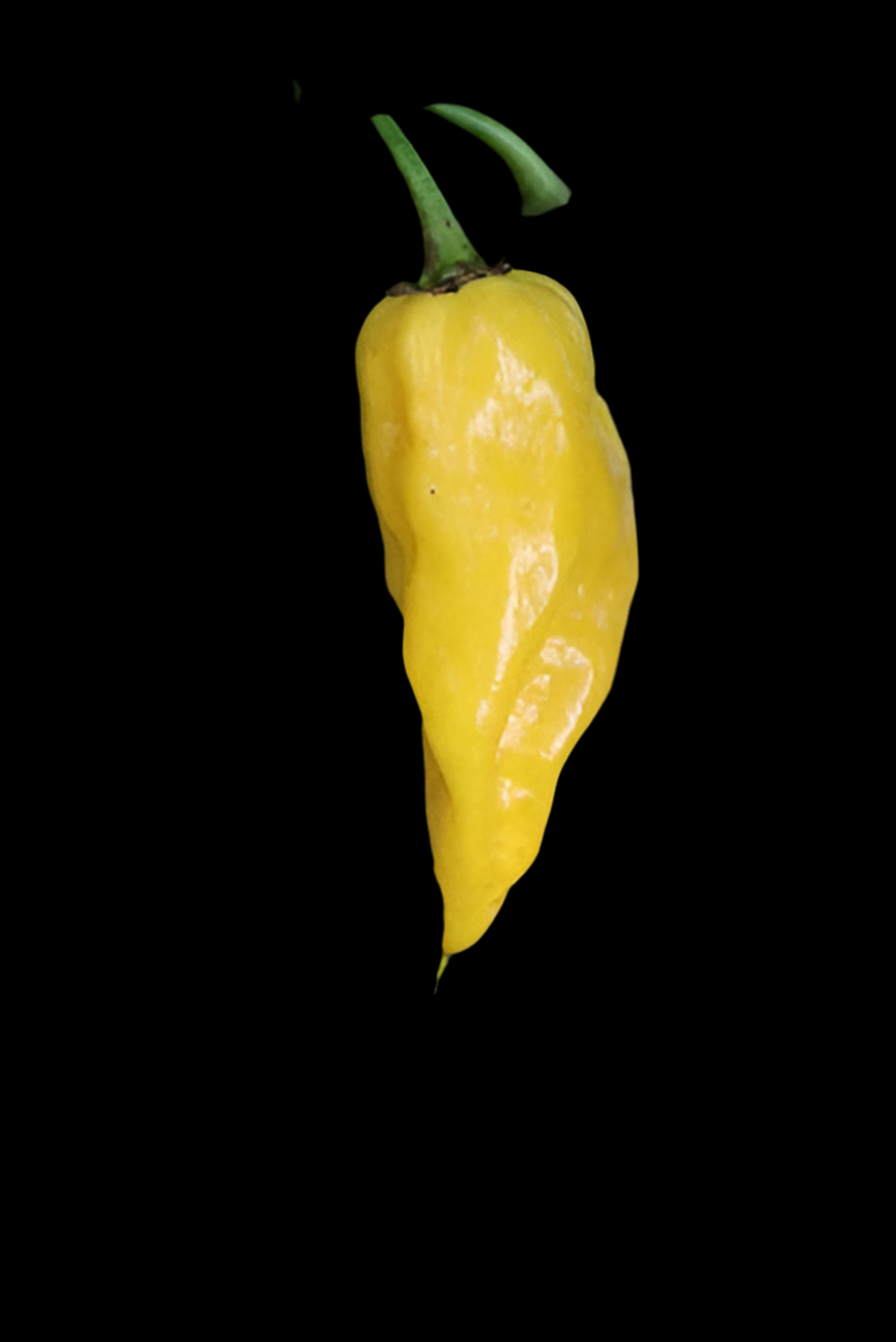 Lemon Habanero