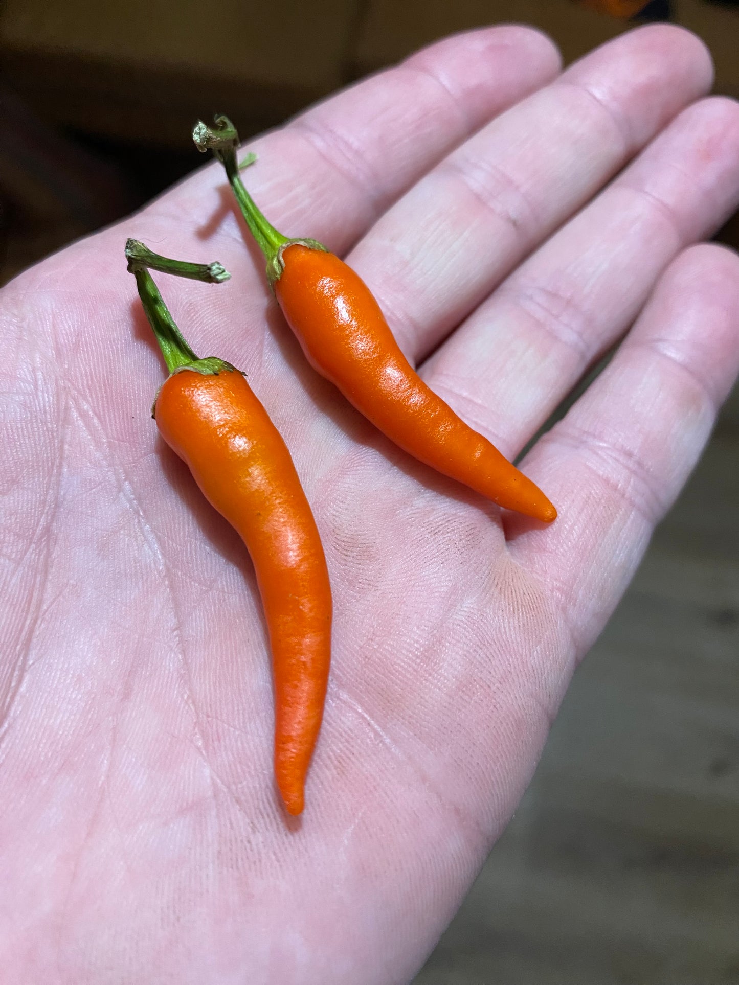 Orange Cayenne