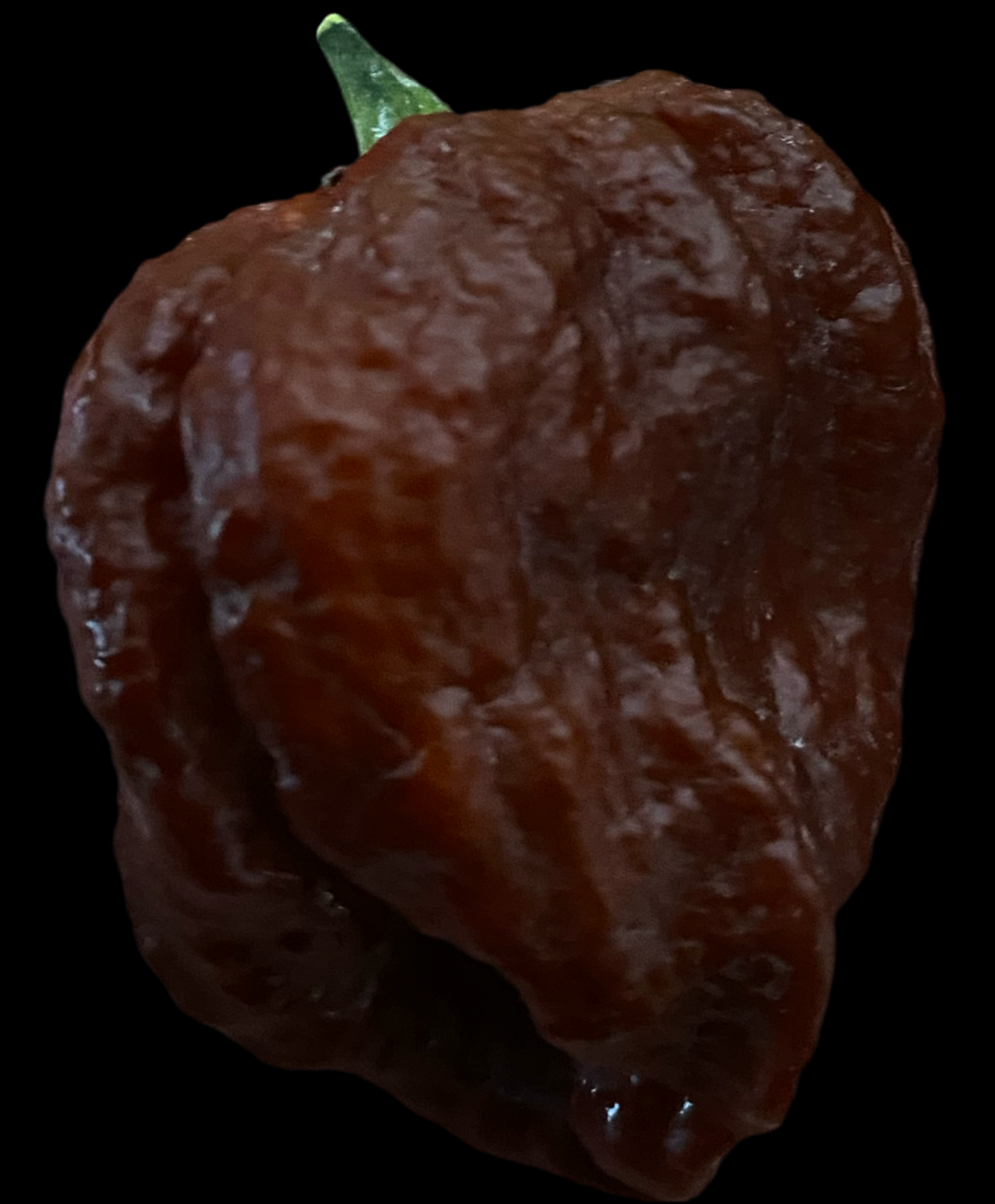 Chocolate Brain Strain