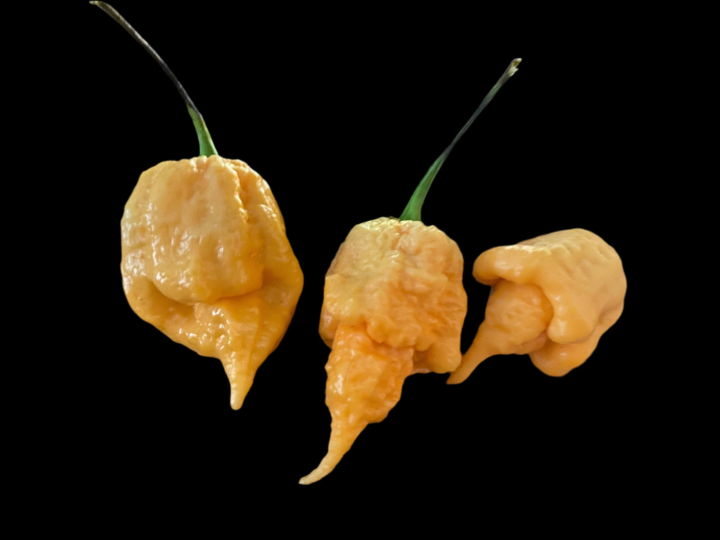California Reaper