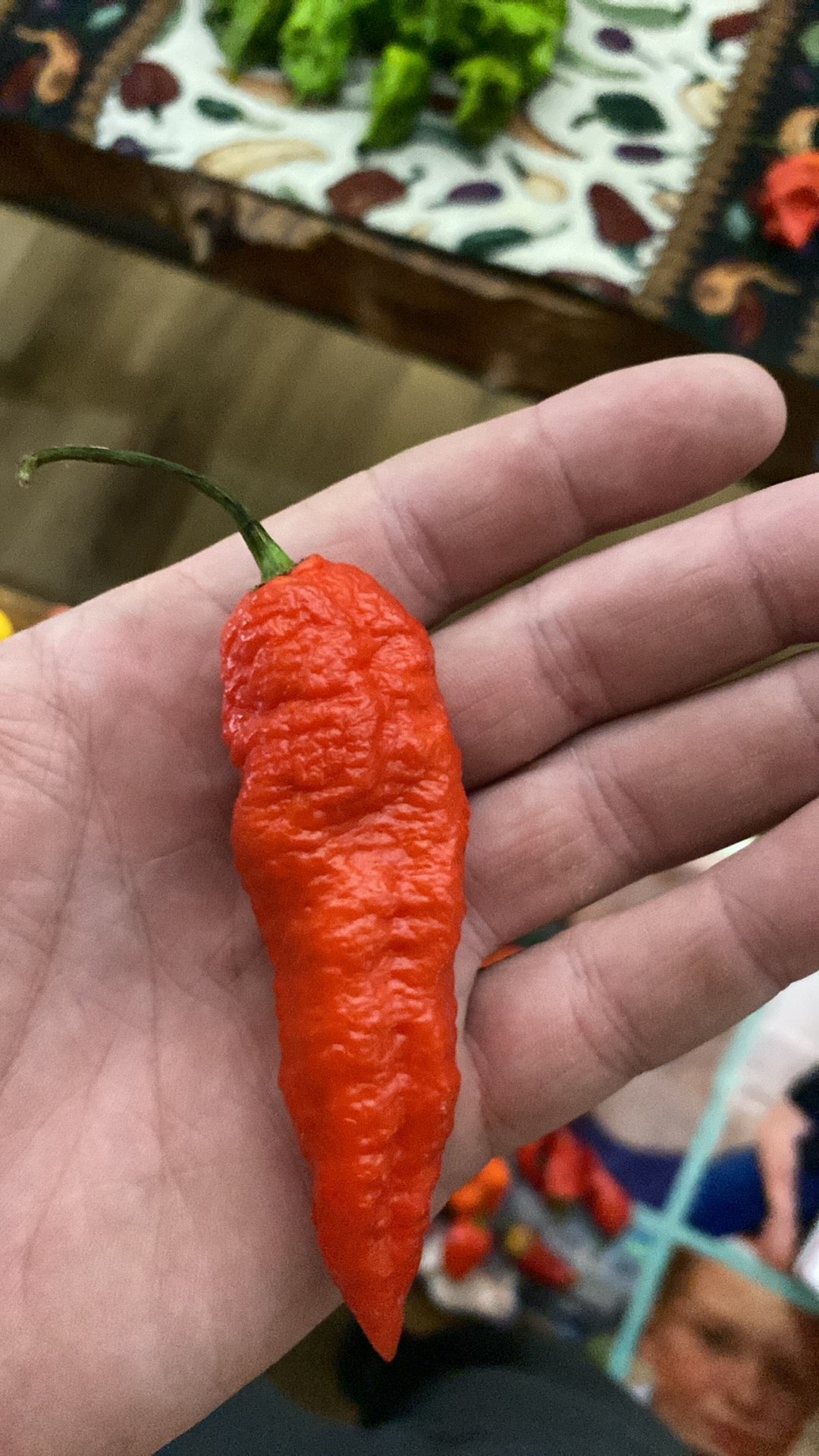 Why Not Red