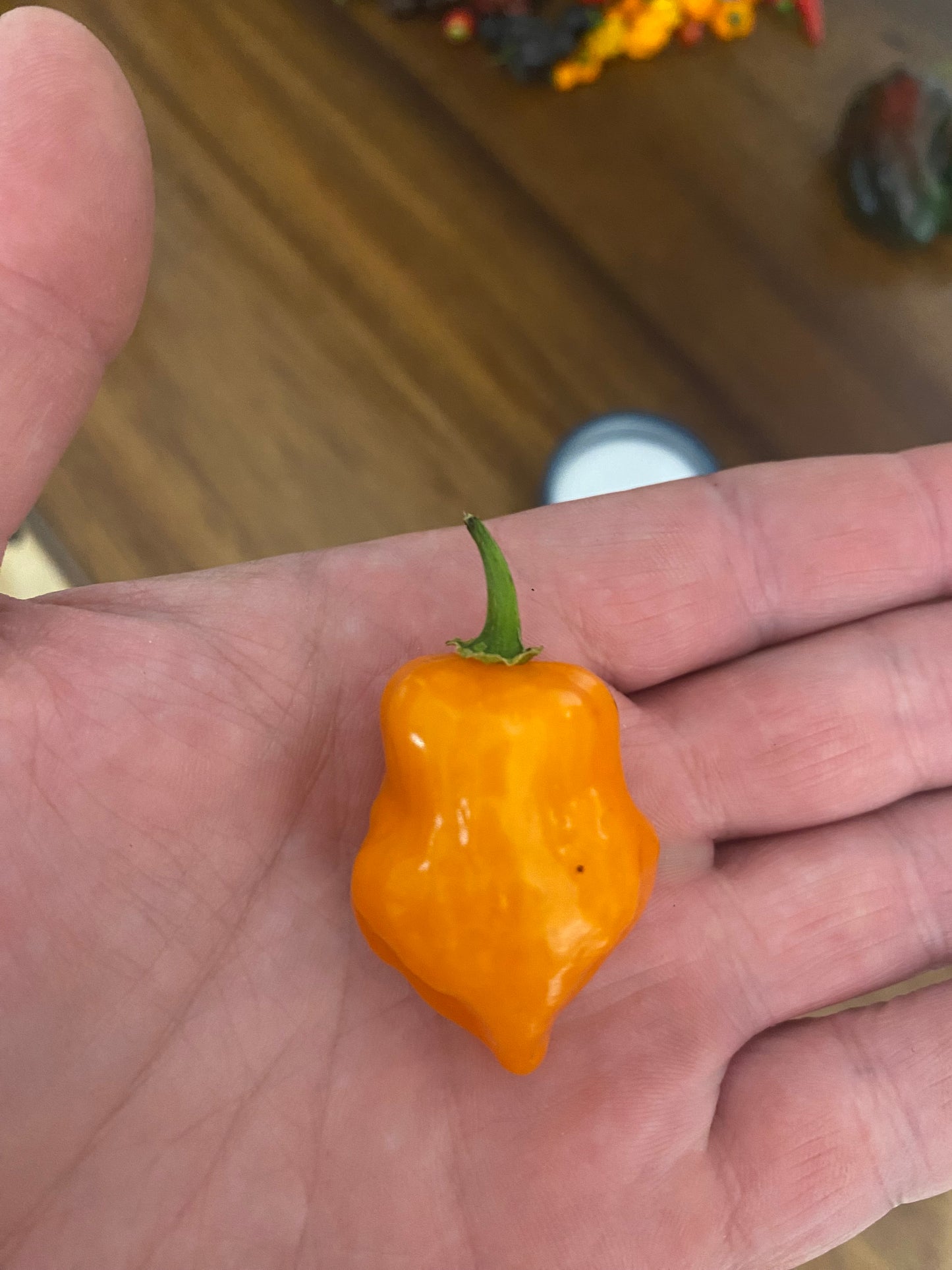 Orange Habanero